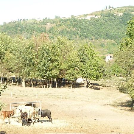 Il Grappolo In Langa Villa Monastero Bormida Exteriör bild